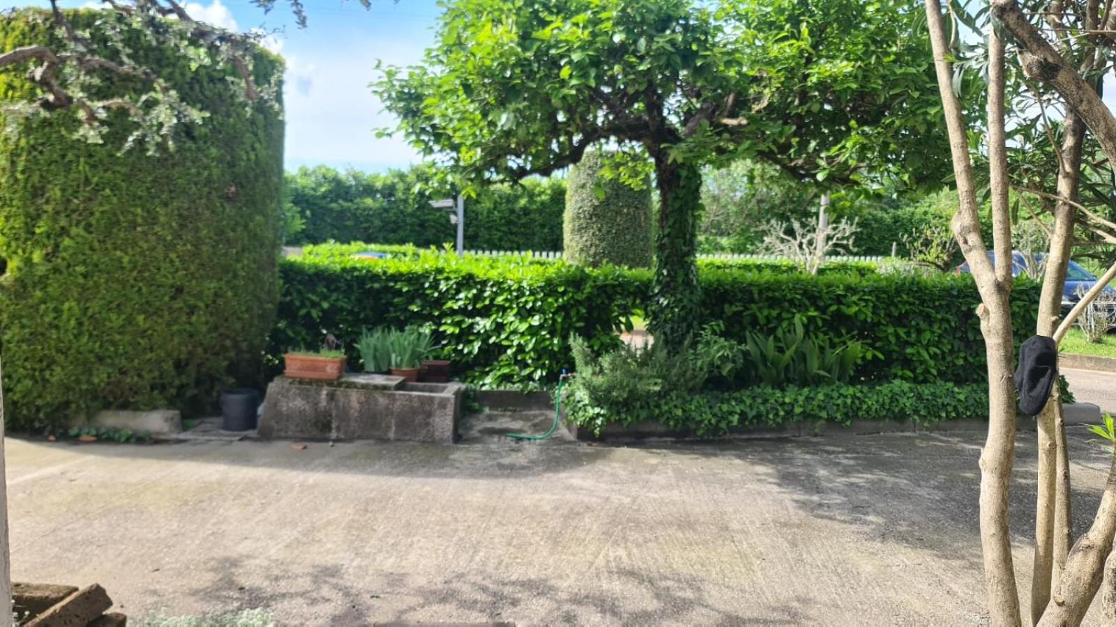 B&B Via Del Cristo 帕多瓦 外观 照片